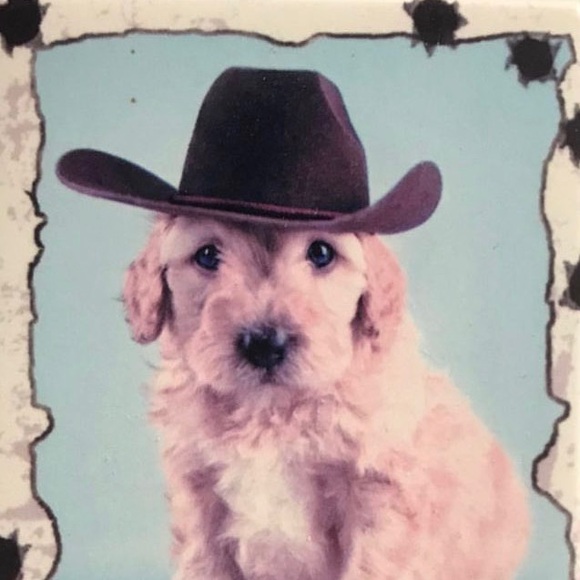 Meet your Posher, Medha - Picture 1 of 1